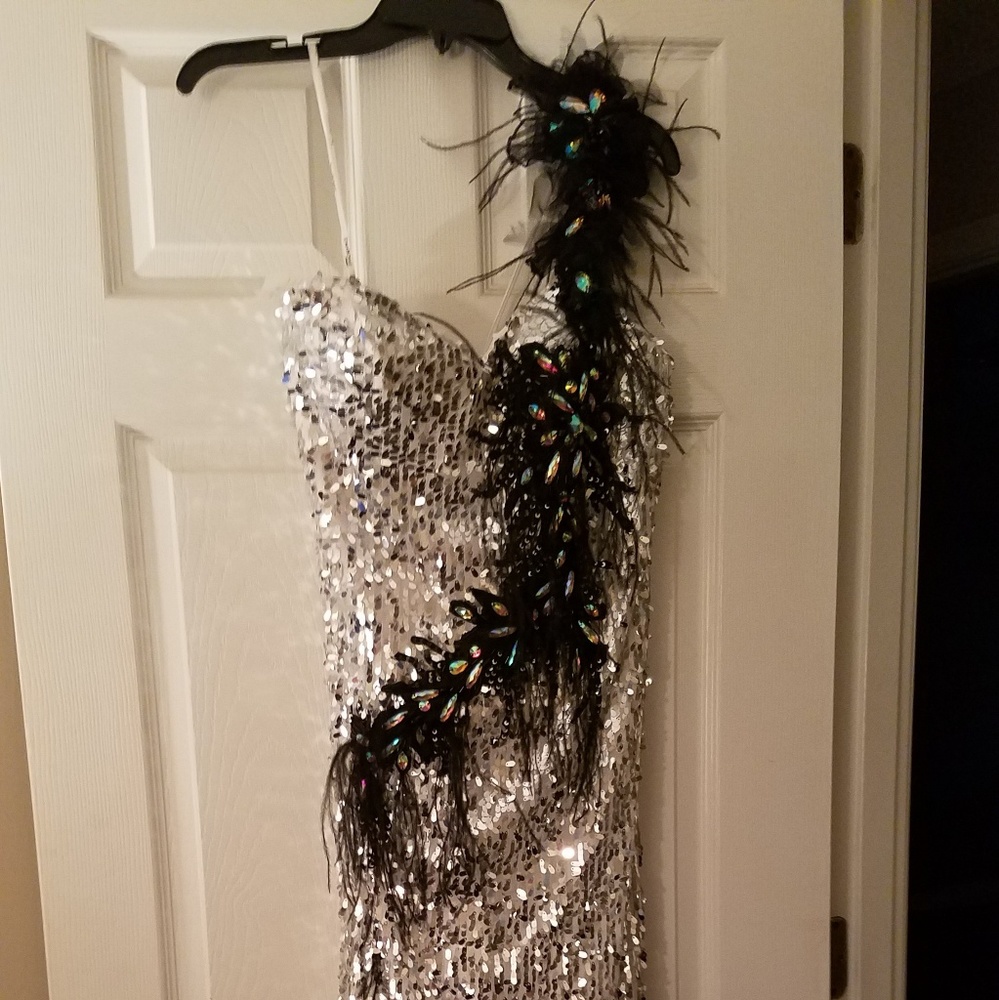 sz 12 pageant/prom dress